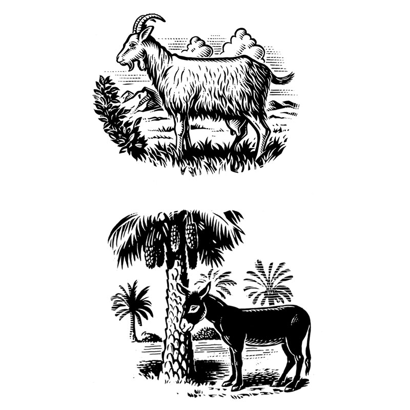 fred-van-deelen-illustrator-animals-06-illustration