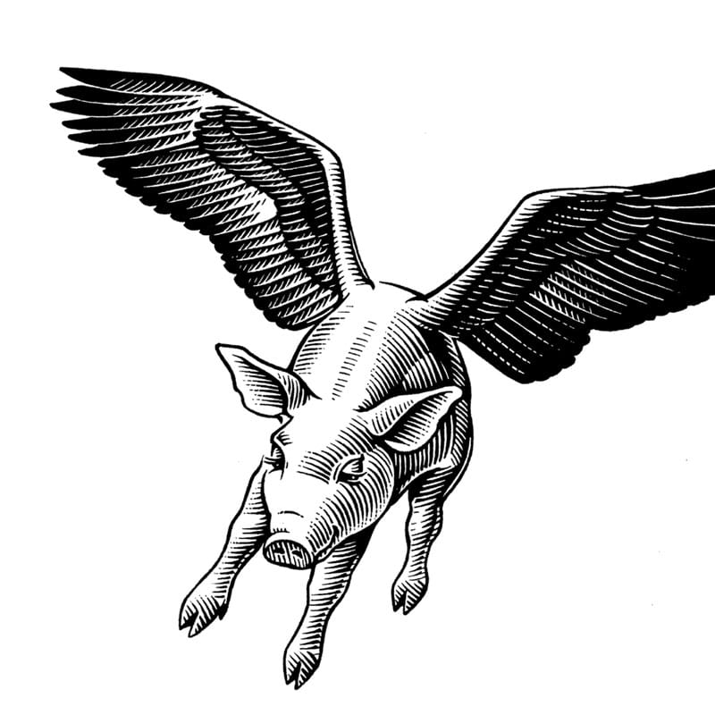 fred-van-deelen-illustrator-animals-16-illustration